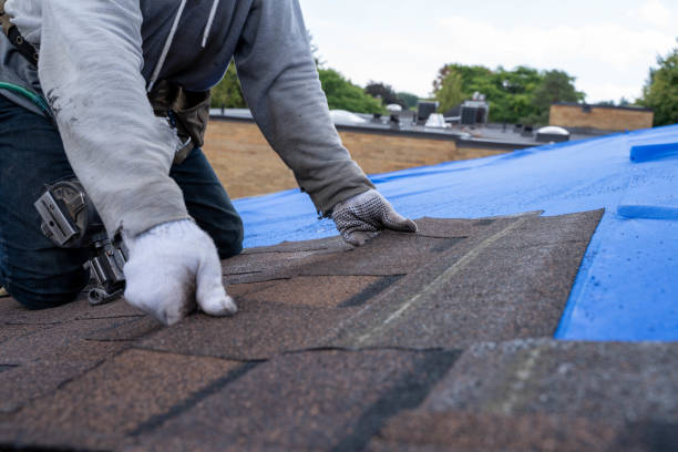 Best Commercial Roof Installation  in Walnutport, PA