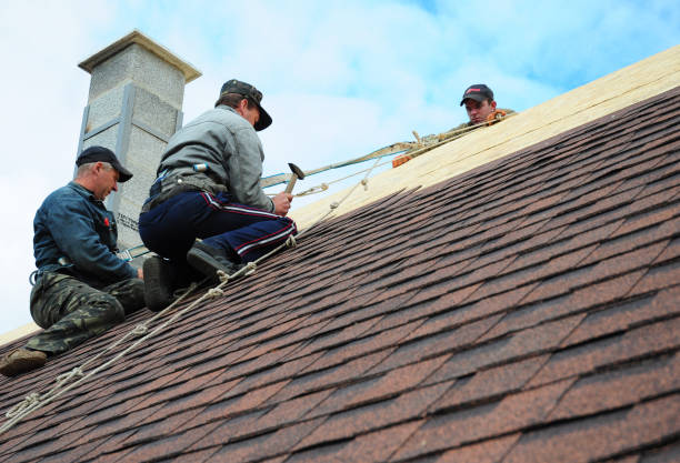 Best Storm Damage Roof Repair  in Walnutport, PA